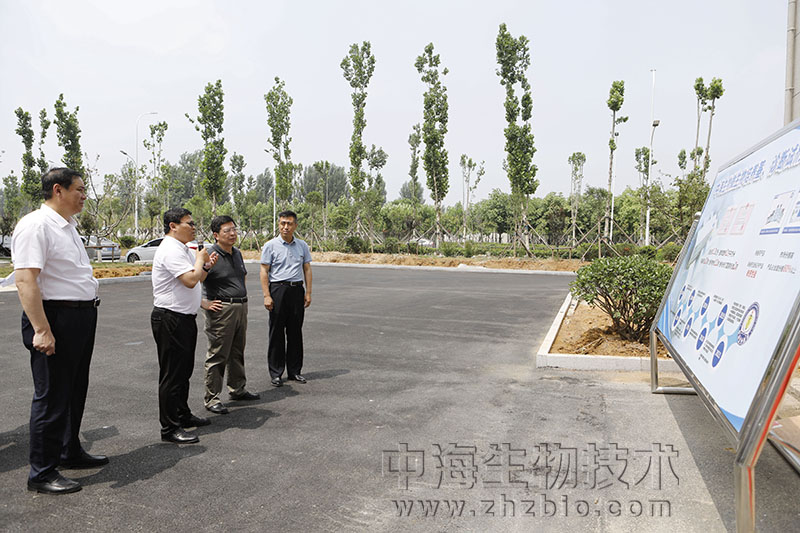 棗莊市委書記陳平調研中國獸藥谷及中海生物等重點項目建設情況圖片